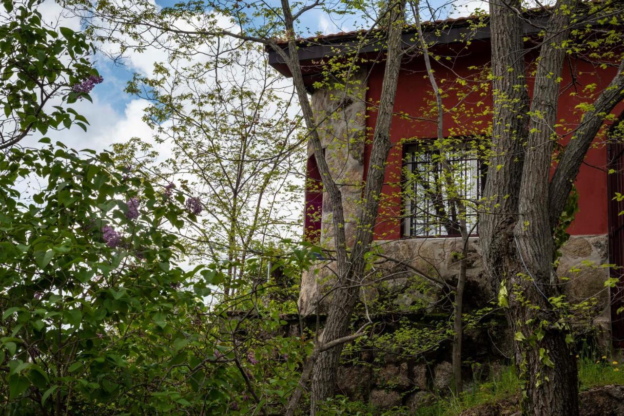 Villa Casita En La Sierra à Zarzalejo Extérieur photo
